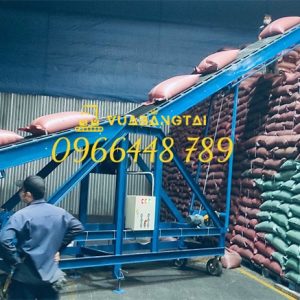 băng tải cao su 2 cánh