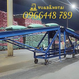 Băng tải cánh bướm