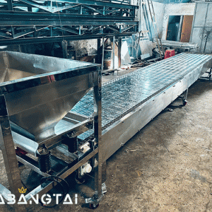 Băng tải xích inox