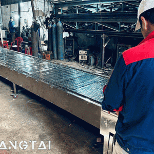 Băng tải xích inox