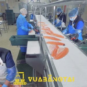 Ứng dụng băng tải Pu